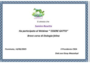attestato-gatto