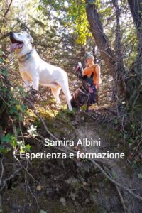 simil-attestato01 simil-attestato01