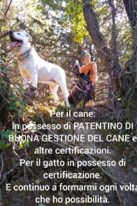 simil-attestato02 simil-attestato02